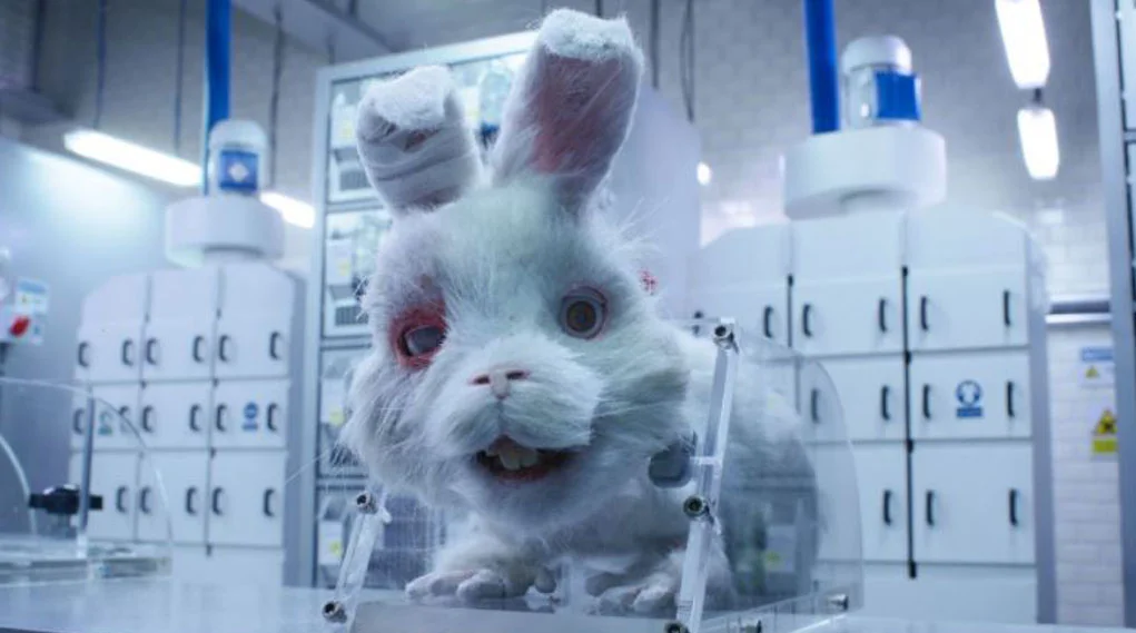 "Salven a Ralph": el corto sobre crueldad animal para uso cosmético