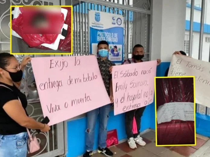 Hospital cambia cuerpo de bebé muerta y entrega a los papás el de una rata gigante