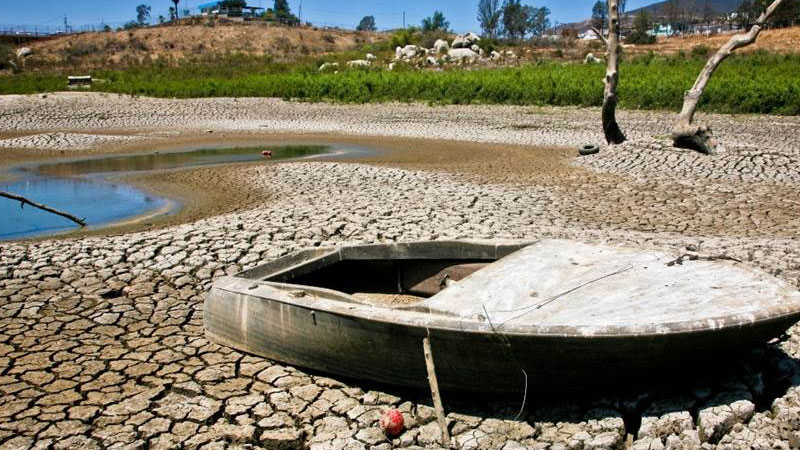 Advierten sobre nueva pandemia; afectará a México y no hay vacuna para curarla