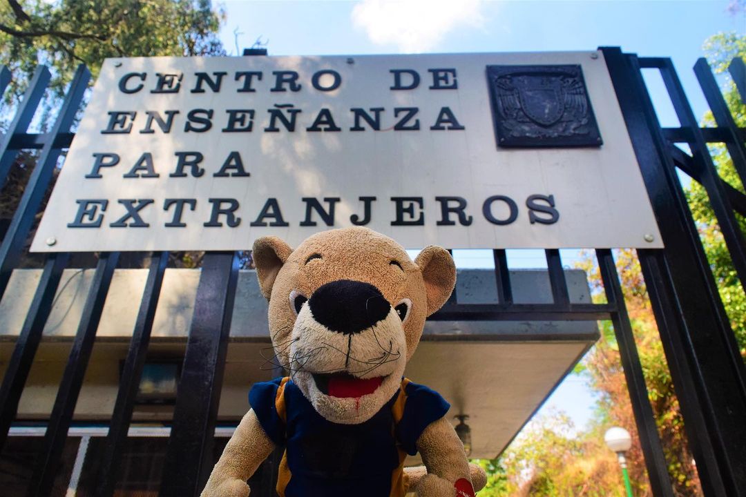 UNAM lanza convocatoria para estudiar licenciaturas abiertas y a distancia