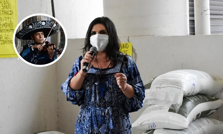 Norma Layón invita a participar en el Grito de Independencia sin salir de casa