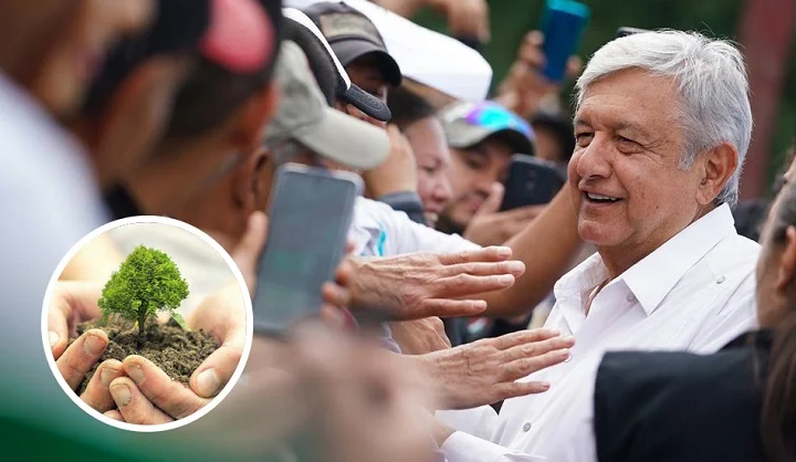 Anuncian que Joe Biden consideraría invertir en el programa Sembrando Vida