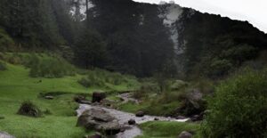 Nevado de Toluca es reforestado con el fin de ayudar a los mantos acuíferos