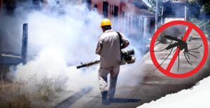 Casos de dengue en Veracruz aumentaron en este año