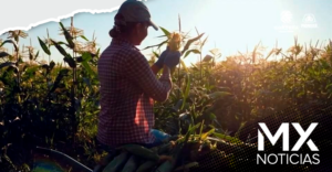 Gobierno impulsa autosuficiencia agrícola tras efectos del TLCAN