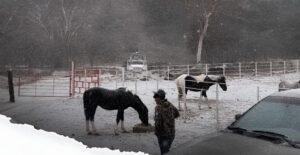 Agricultores en Sonora no reportan daños significativos en cultivos