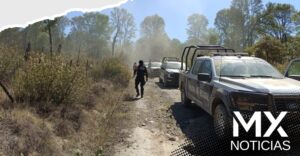 Puebla y Tlaxcala aseguran más de 200 troncos de madera ilegal en La Malinche