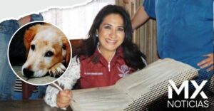 Tunden a diputada del Verde por decir que los animales no tienen derechos