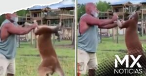 Muere hombre tras pelear con un canguro