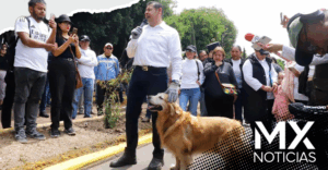 Gobierno de Puebla y Gobierno Federal impulsarán campaña para la protección animal