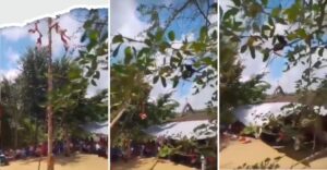 Se desploman voladores de Papantla durante danza (VIDEO)