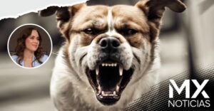Proponen multar a dueños de perros que ladren mucho