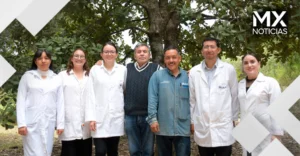 Crean nanomateriales en la BUAP para combatir plagas por gusano barrenador