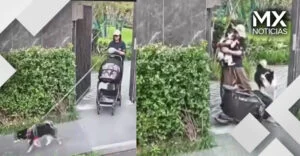 Reviven video de mujer que defendió a su mascota en lugar de a su bebé