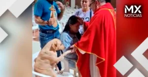 VIDEO | Lo que hizo este perrito en plena iglesia dejó a todos con la boca abierta