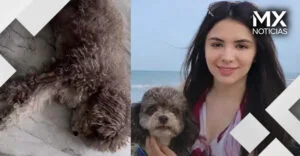 VIDEO | Perrito termina triste por la muerte de su dueña en el sismo de Colombia