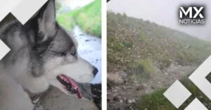VIDEO | Alerta en celular salva a mujer y su perro de violenta granizada en Suiza