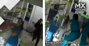 VIDEO | Aplauden a veterinarios que evacuaron a animales hospitalizados durante terremoto