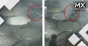 VIDEO | Hombre pierde la vida tras caer en caldero hirviendo