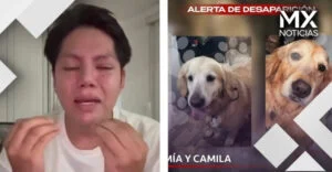 VIDEO | Joven exige que le regresen a sus perras tras violento asalto en carretera