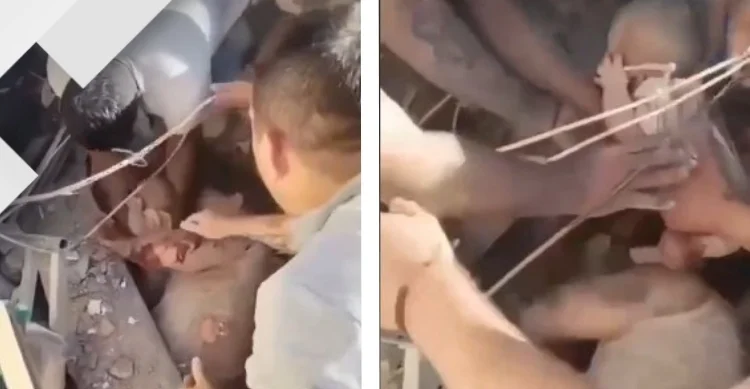 VIDEO | Rescatan con vida a bebé de entre los escombros en Colombia