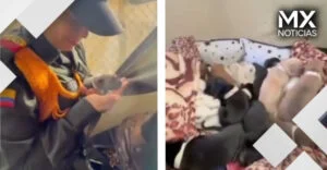VIDEO | Salvan a Reina y a sus 10 cachorros de entre los escombros en Pereira