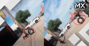 Perrito se gana su comida ayudando a un hombre en el taller donde trabaja y se vuelve viral