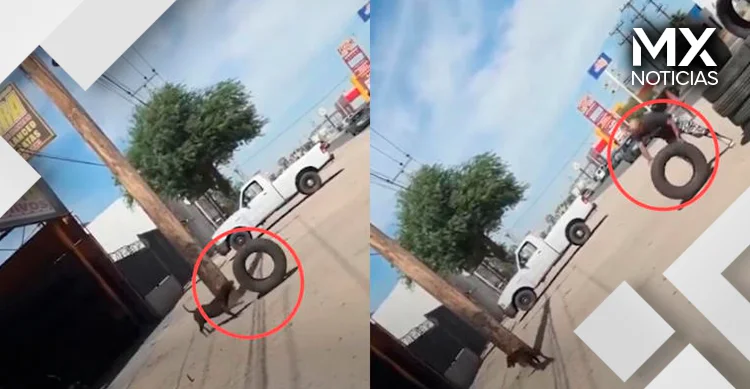 Perrito se gana su comida ayudando a un hombre en el taller donde trabaja y se vuelve viral
