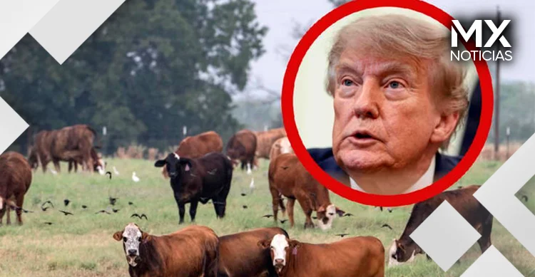 Importación de carne de Trump enfurece a ganaderos aliados en Texas