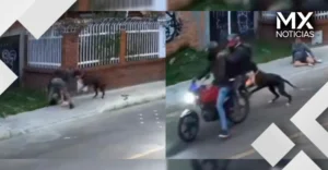 Perrito enfrenta a presunto ladrón y evita que su dueño sea atracado en Bogotá
