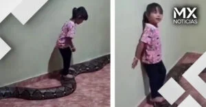 VIDEO | Niña juega con serpiente gigantesca en Vietnam