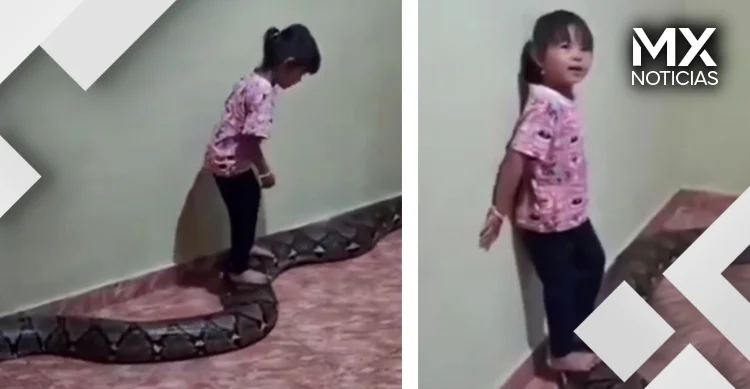 VIDEO | Niña juega con serpiente gigantesca en Vietnam