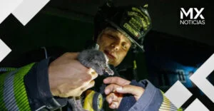Bomberos de Guadalajara salvan a dos gatitos de un incendio