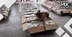 Binomio canino detectó cargamento de café con cocaína en el AICM