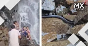 VIDEO | Familia se lleva un buen susto con una serpiente en la India