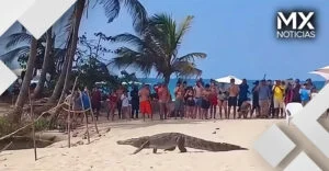 VIDEO | Caimán sorprende a turistas en una playa de Colombia