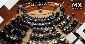 Senado aprueba la Ley Antimemes; pasa a la Cámara de Diputados