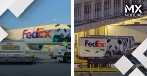 VIDEO | Llegan pandas a Atlanta desde China tras acuerdo con Trump