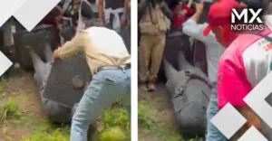 VIDEO | Manifestantes decapitan estatua de Felipe Calderón