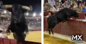 VIDEO | Toro salta la barrera y provoca pánico durante Feria Taurina en España