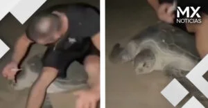 VIDEO | Tunden a influencer por montarse en tortuga que quería escapar