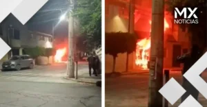 Mueren 14 perros en incendio durante las Fiestas Patrias en la GAM: un cohete habría caído en la vivienda