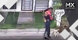 VIDEO | Captan a sujeto incitando a su perro a atacar a perritos callejeros en Uruapan
