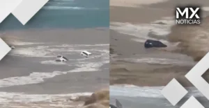 Lluvias en Los Cabos provocan inundaciones y arrastran vehículos al mar