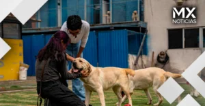 La lucha para salvar a la primera y única escuela de perros guía para ciegos en México