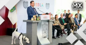 Puebla construye la “Ciudad de los Seres Sintientes” para fortalecer el bienestar animal
