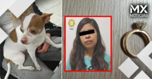 Mujer secuestra a perrito Chihuahua en Iztapalapa y exige anillos de oro para devolverlo