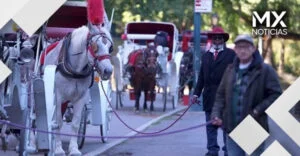 NY prohíbe los carruajes de caballos en Central Park tras 150 años de tradición