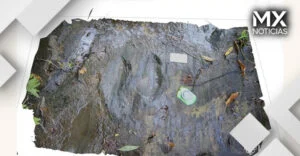INAH confirmó el hallazgo de huellas de dinosaurio en Michoacán