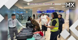 Aseguran casi 10 kilogramos de cocaína en el Aeropuerto de Cancún